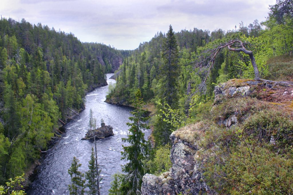 Näkymä Kitkajoelle, keskellä pieni Kalliosaari